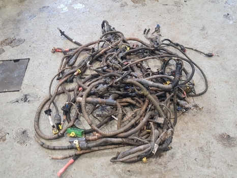 Claas Arion 640 A36 Frame Wiring Loom Complete Check The Pictures - Câble/ Fil pour Tracteur agricole: photos 1 Claas Arion 640 A36 Frame Wiring Loom Complete Check The Pictures - Câble/ Fil pour Tracteur agricole: photos 1
