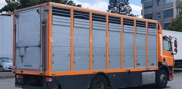 Camion bétaillère DAF CF 400 Menke Einstock | Transport zwierząt jednopoziomowy | 2 kratownice do bydła| Retarder | Euro 6: photos 6 Camion bétaillère DAF CF 400 Menke Einstock | Transport zwierząt jednopoziomowy | 2 kratownice do bydła| Retarder | Euro 6: photos 6