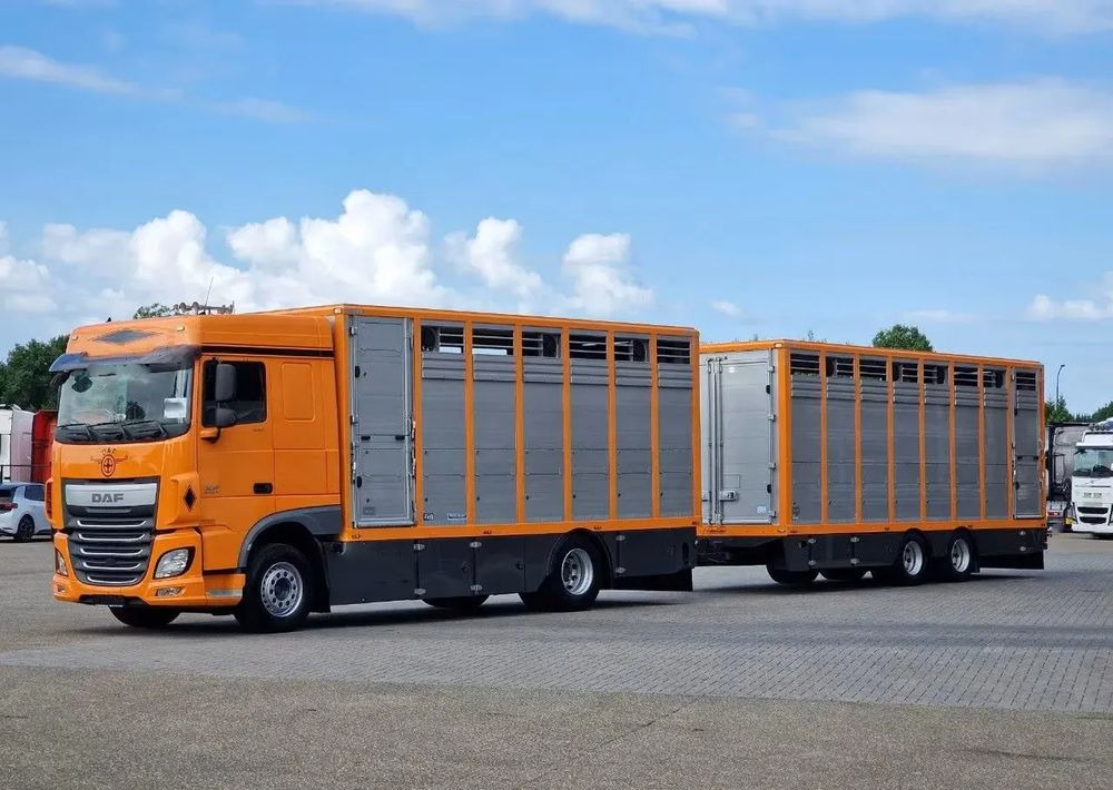DAF XF 460 4x2 SpaceCab – Menke Livestock | 1 pokład | Euro 6 | 2016 - Camion bétaillère: photos 1 DAF XF 460 4x2 SpaceCab – Menke Livestock | 1 pokład | Euro 6 | 2016 - Camion bétaillère: photos 1