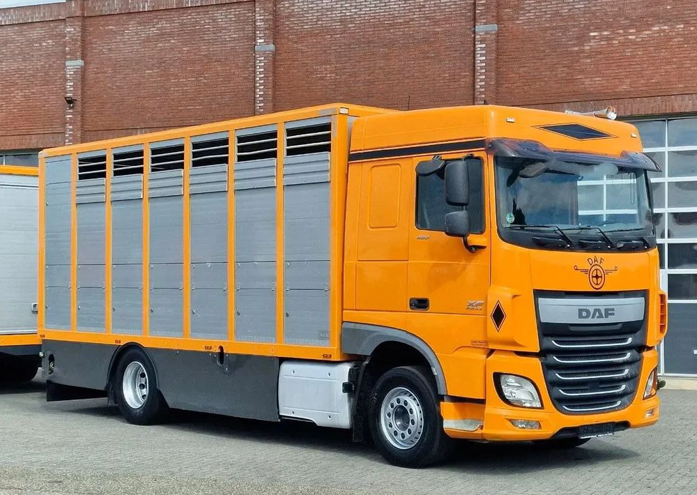 DAF XF 460 4x2 SpaceCab – Menke Livestock | 1 pokład | Euro 6 | 2016 - Camion bétaillère: photos 4 DAF XF 460 4x2 SpaceCab – Menke Livestock | 1 pokład | Euro 6 | 2016 - Camion bétaillère: photos 4