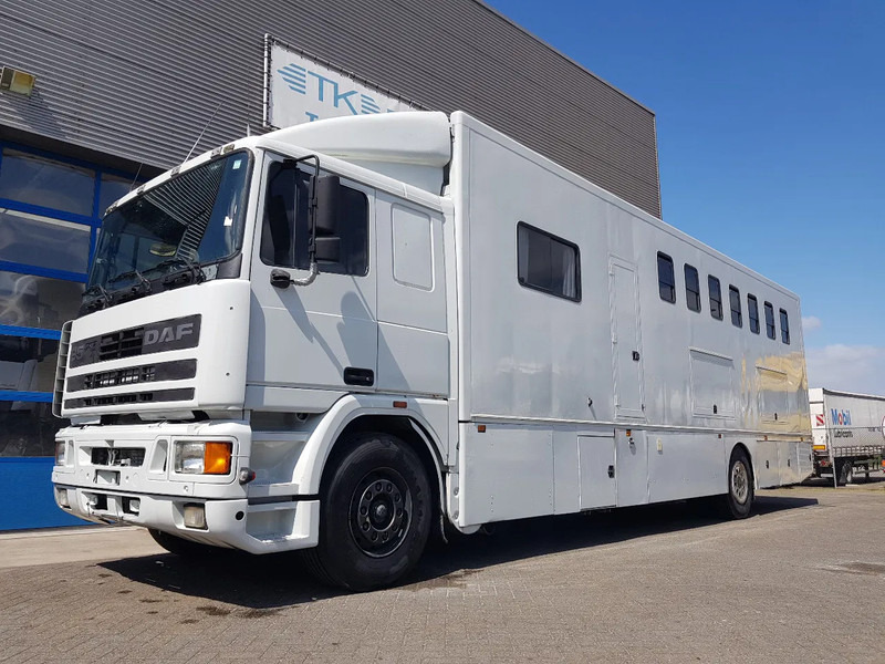 DAF 95.350 Paardenwagen met zitverblijf 7 paarden 7 horses - Camion chevaux: photos 1 DAF 95.350 Paardenwagen met zitverblijf 7 paarden 7 horses - Camion chevaux: photos 1