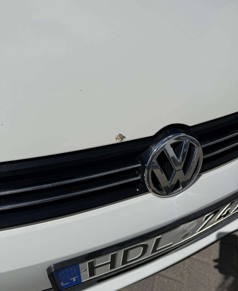 Berline Volkswagen Jetta: photos 11
