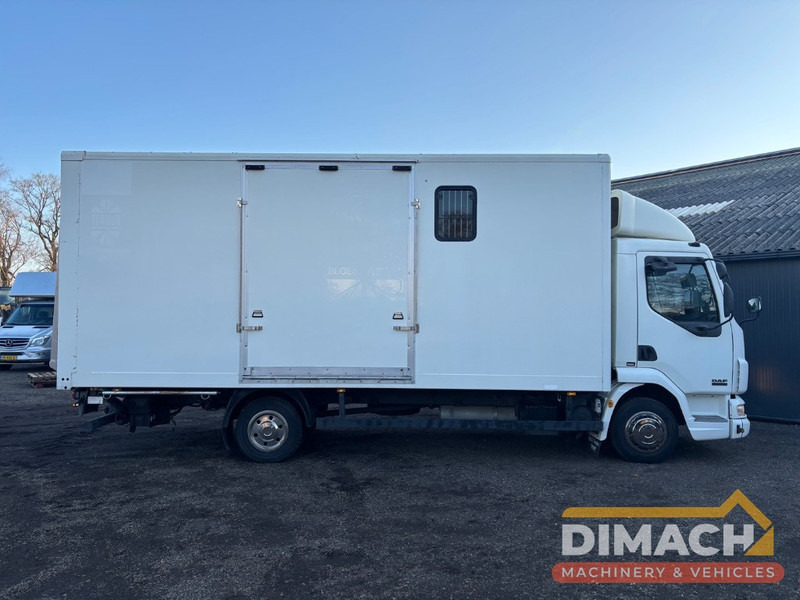 DAF FA LF45.150 4 paards, laadlift. Horsetruck NL truck - Camion chevaux: photos 4 DAF FA LF45.150 4 paards, laadlift. Horsetruck NL truck - Camion chevaux: photos 4