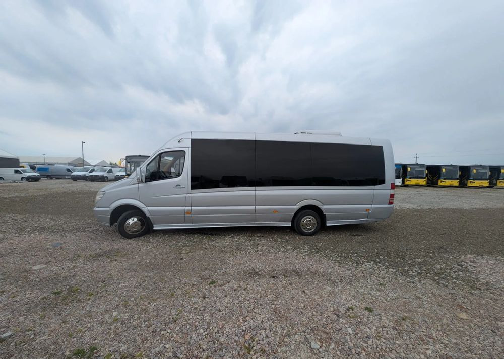 Minibus, Transport de personnes Mercedes-Benz Sprinter 516: photos 7
