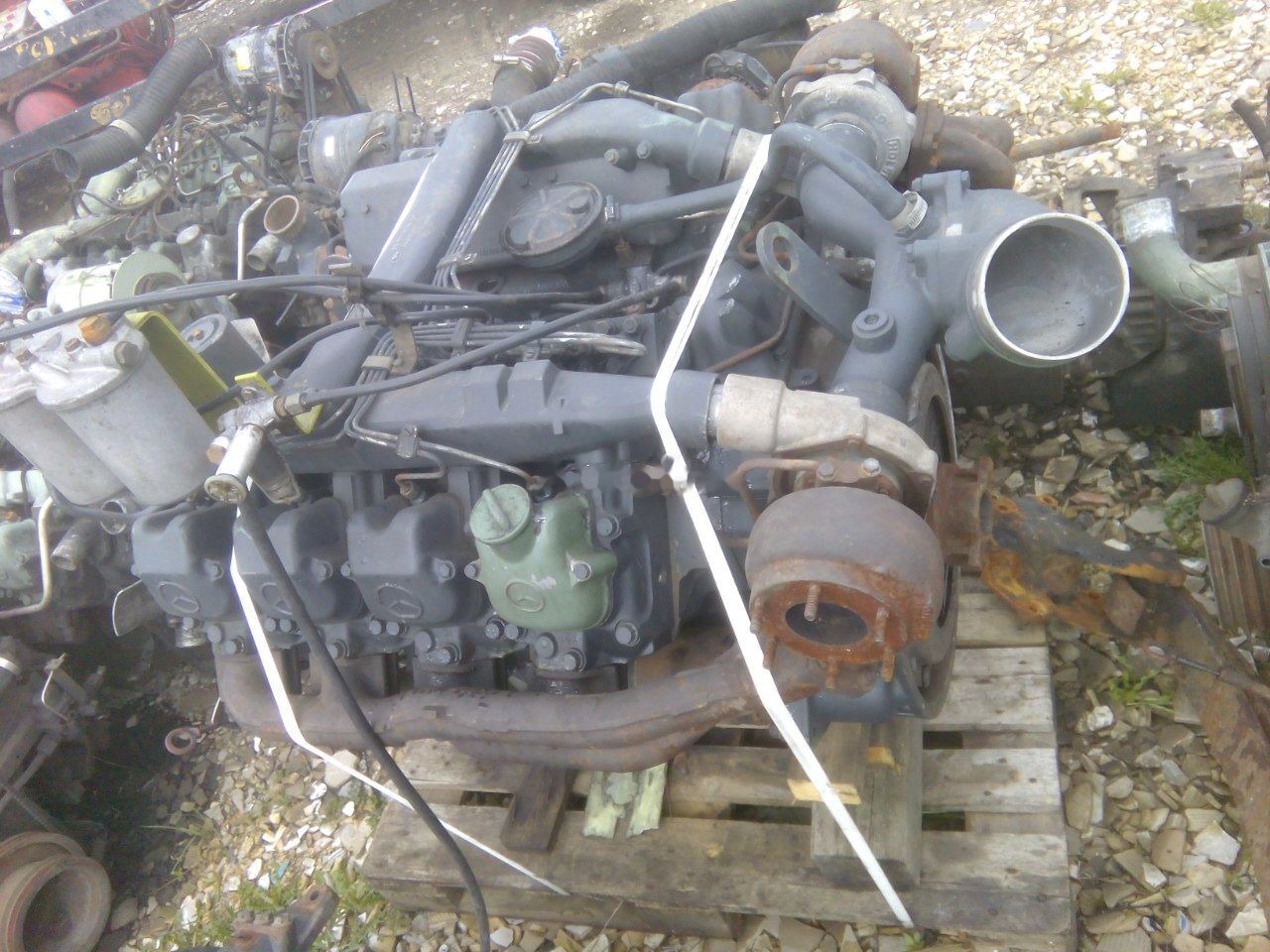 OM 442 Biturbo - Moteur pour Camion: photos 2 OM 442 Biturbo - Moteur pour Camion: photos 2