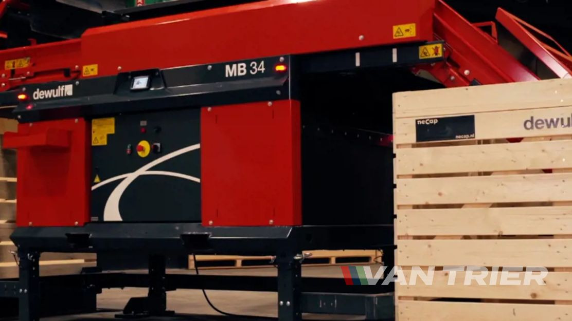 Miedema MB34 Box filler - Convoyeur: photos 5 Miedema MB34 Box filler - Convoyeur: photos 5