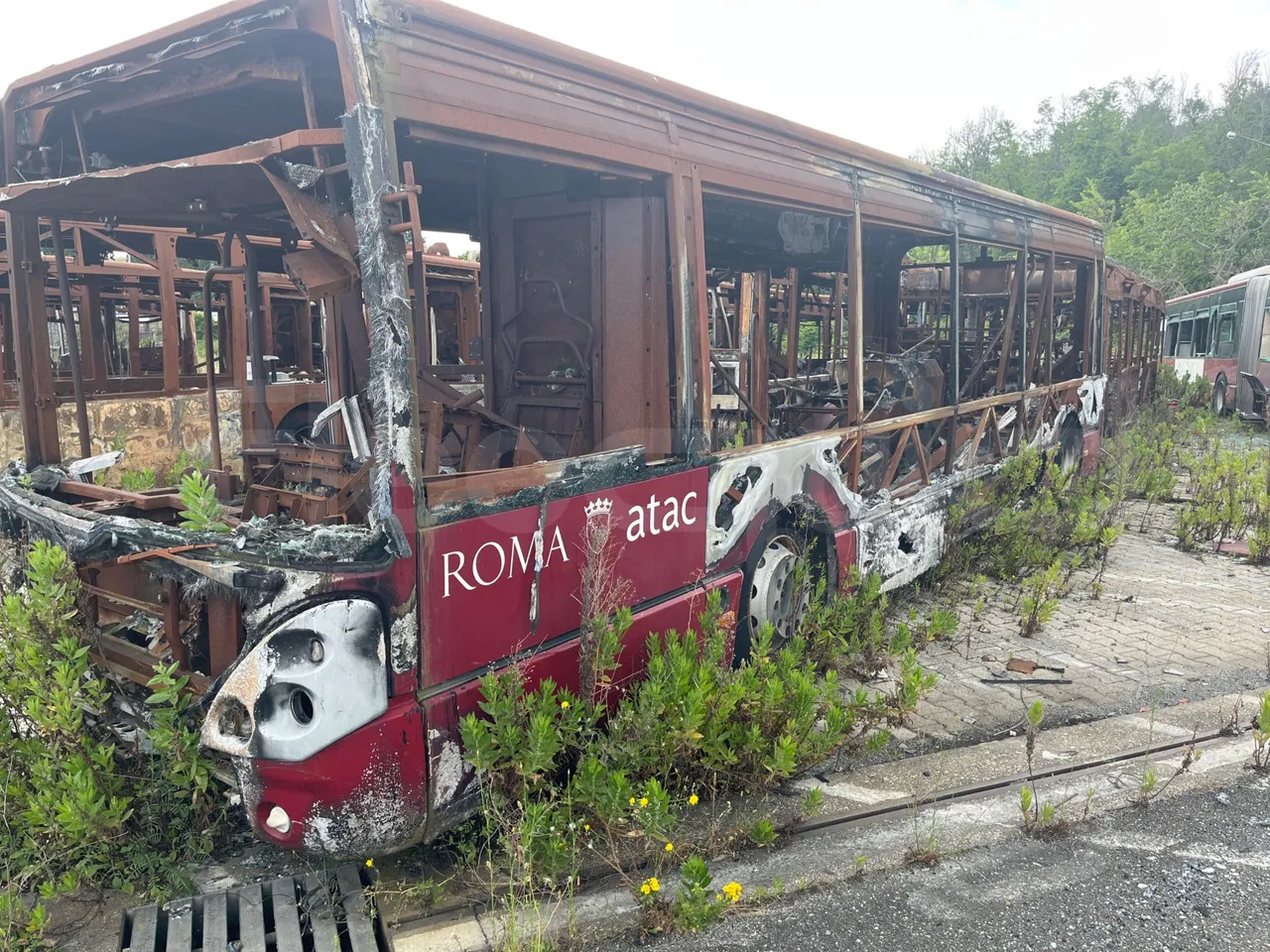 Bundle di 7 mezzi Iveco - Citelis Iveco - Citelis Iveco - Citelis Iveco - Citelis Iveco - Citelis Iveco - Citelis Iveco - Citelis - Bus urbain: photos 2 Bundle di 7 mezzi Iveco - Citelis Iveco - Citelis Iveco - Citelis Iveco - Citelis Iveco - Citelis Iveco - Citelis Iveco - Citelis - Bus urbain: photos 2