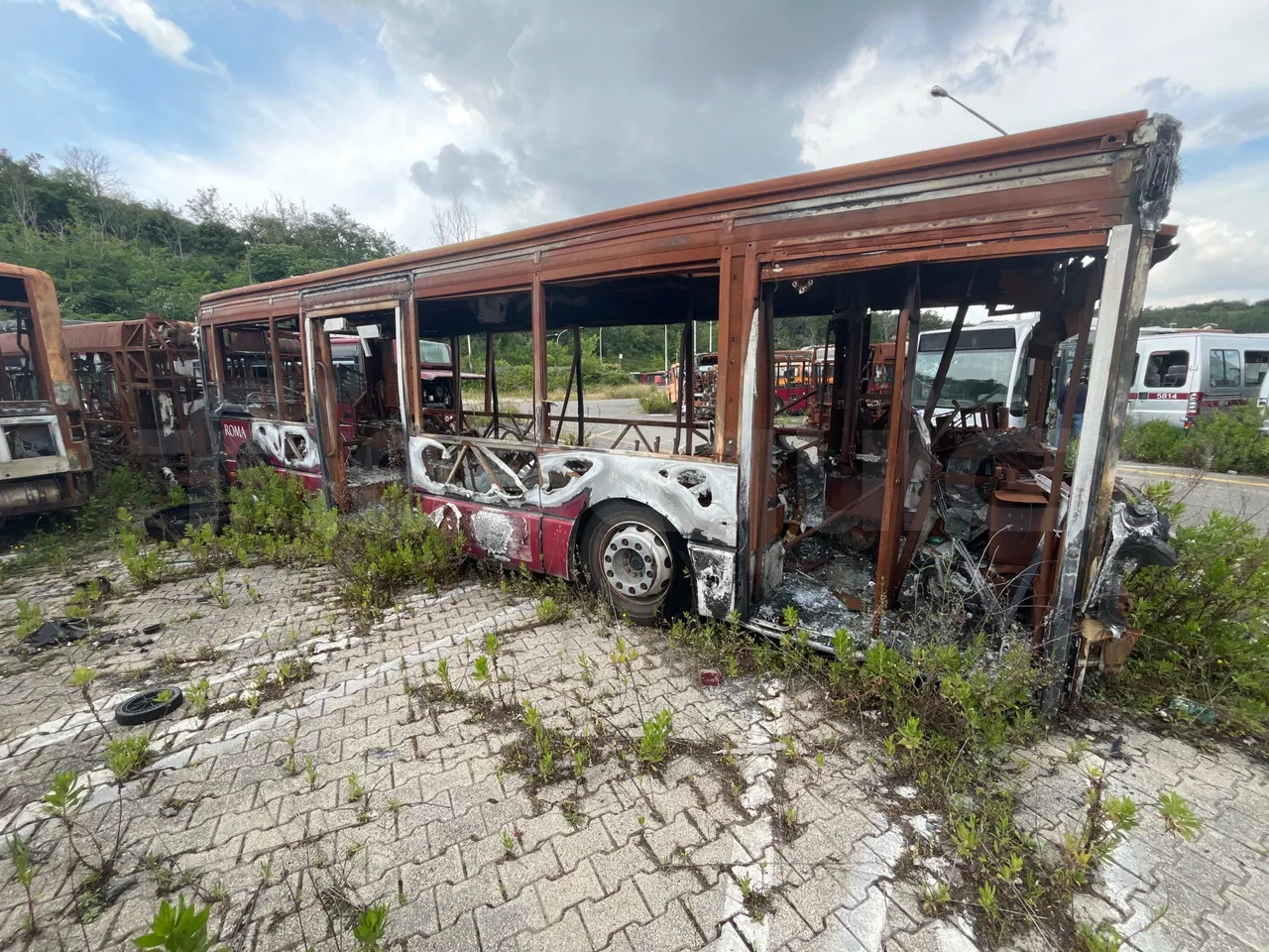 Bundle di 7 mezzi Iveco - Citelis Iveco - Citelis Iveco - Citelis Iveco - Citelis Iveco - Citelis Iveco - Citelis Iveco - Citelis - Bus urbain: photos 3 Bundle di 7 mezzi Iveco - Citelis Iveco - Citelis Iveco - Citelis Iveco - Citelis Iveco - Citelis Iveco - Citelis Iveco - Citelis - Bus urbain: photos 3