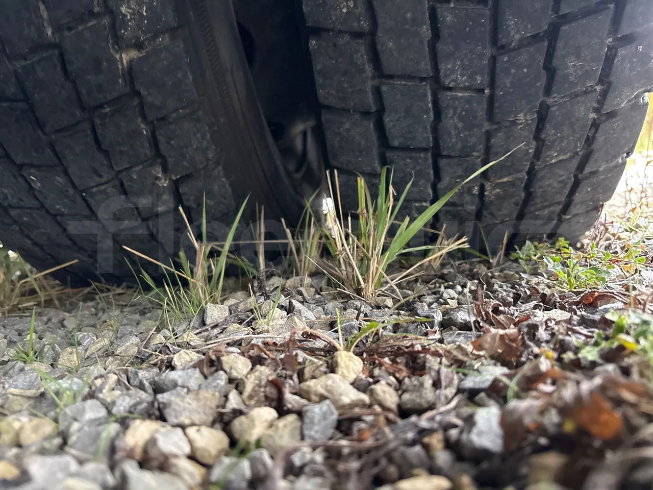 Bus articulé Solaris Urbino: photos 43 Bus articulé Solaris Urbino: photos 43