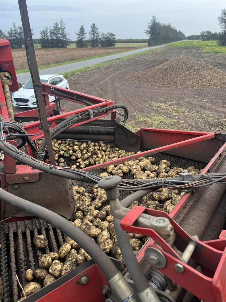 Grimme 150-60 NB HJULTRÆK - Arracheuse de pommes de terre: photos 5 Grimme 150-60 NB HJULTRÆK - Arracheuse de pommes de terre: photos 5
