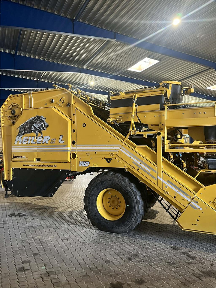 Ropa KEILER II L WD - Arracheuse de pommes de terre: photos 4 Ropa KEILER II L WD - Arracheuse de pommes de terre: photos 4