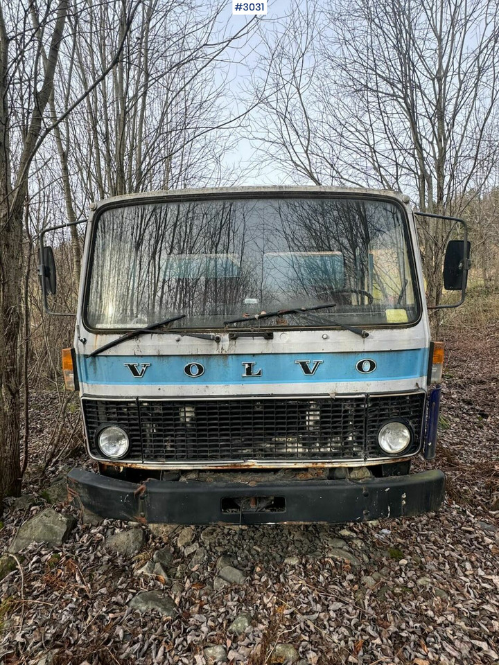 Camion plateau 1978 Volvo F 609 flatbed truck: photos 6