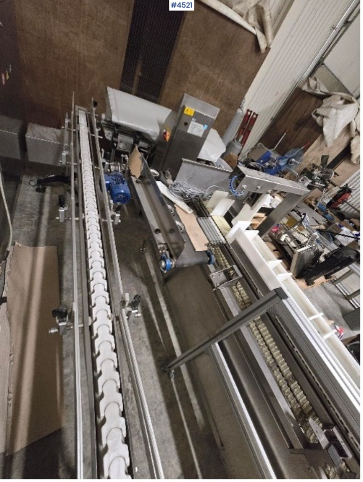 Machine d'emballage et de conditionnement 2010 Newtec, Fischer and Record Scorpion cup fruit packer line