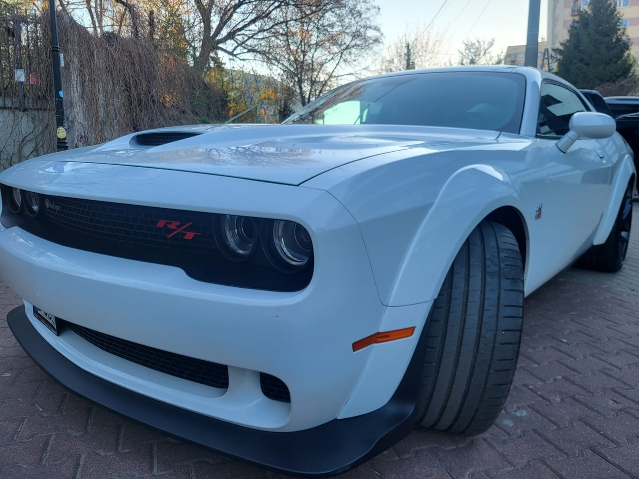 Voiture Dodge Challenger: photos 33