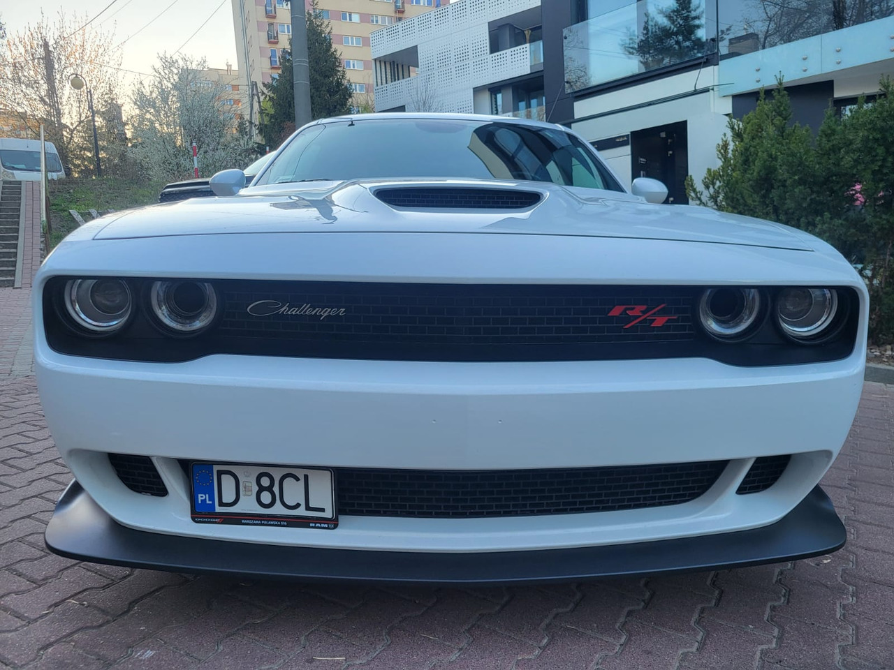 Voiture Dodge Challenger: photos 32