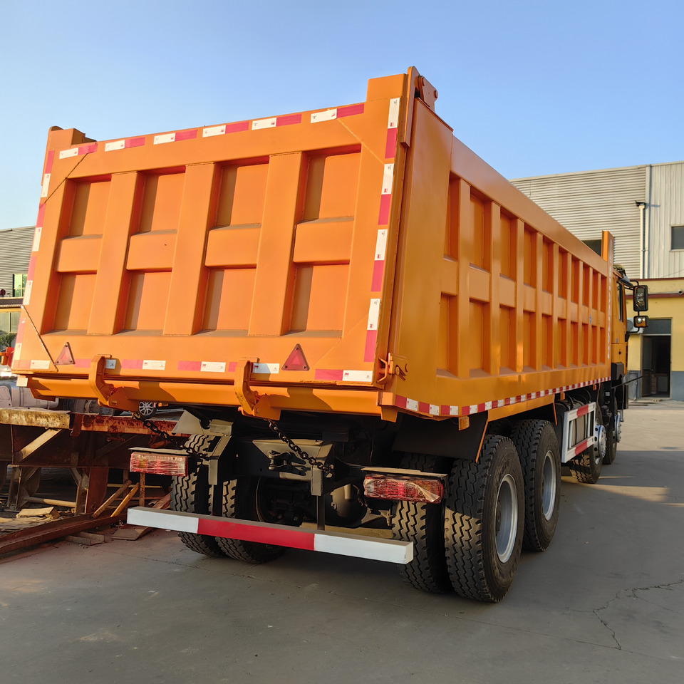 Camion benne neuf SHACMAN F3000: photos 6