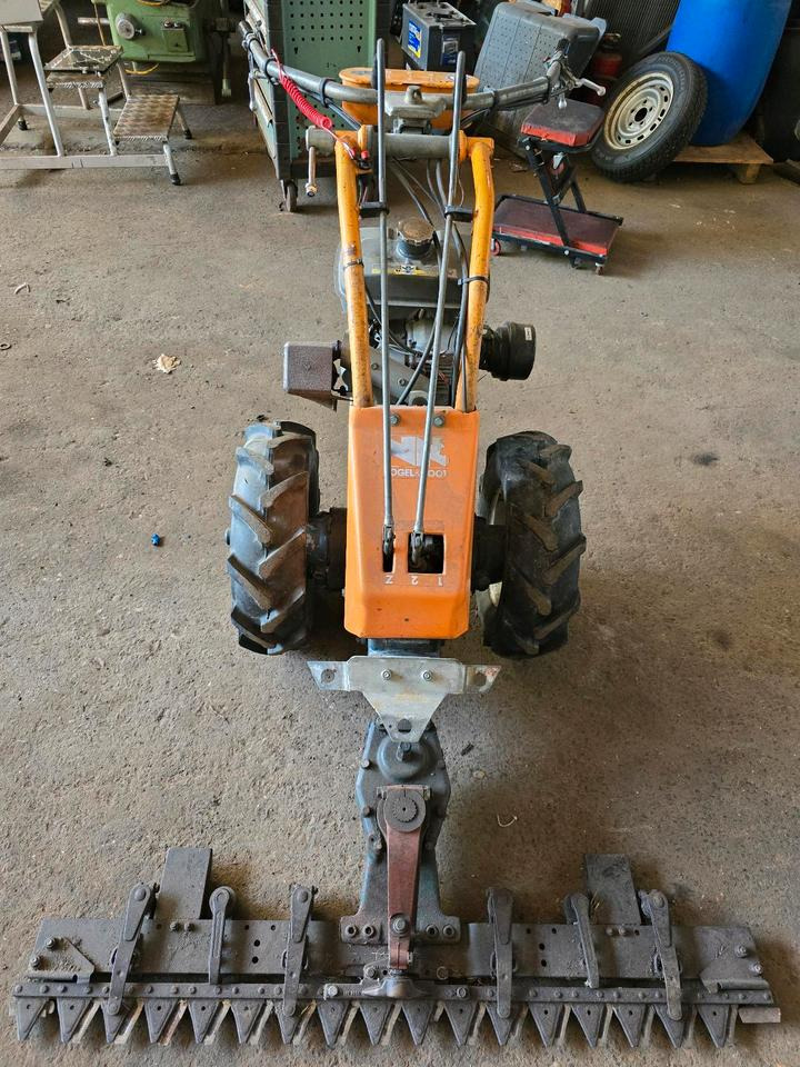 Vogel und Not Balkenmäher Hangmäher Böschungsmäher Mähbalken Rapid Reform Mulcher - Motofaucheuse: photos 3 Vogel und Not Balkenmäher Hangmäher Böschungsmäher Mähbalken Rapid Reform Mulcher - Motofaucheuse: photos 3