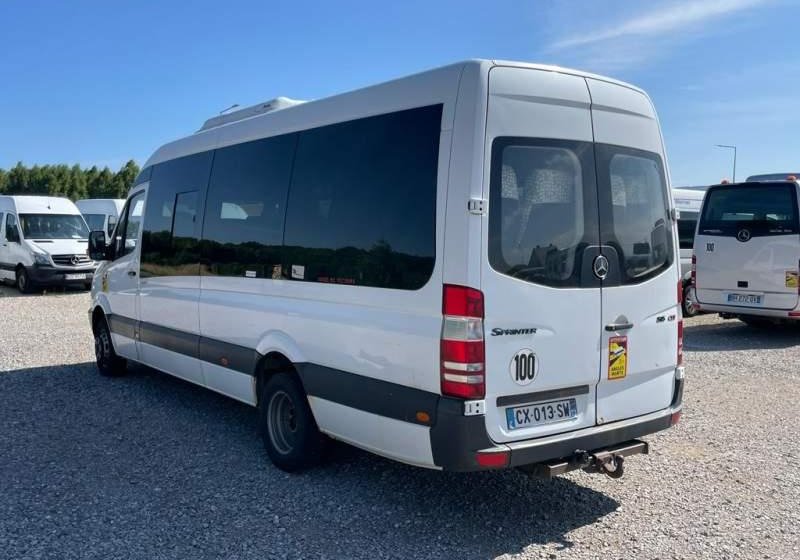 Minibus, Transport de personnes Mercedes-Benz Sprinter 2008: photos 7