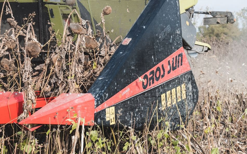 Equipement à tournesol neuf Oros SUN 1276 12 rzędowy, Nowe przystawki do Zbioru Słonecznika: photos 14
