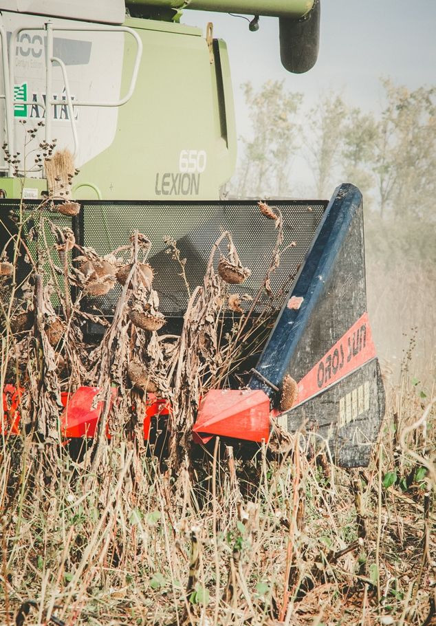 Equipement à tournesol neuf Oros SUN 1276 12 rzędowy, Nowe przystawki do Zbioru Słonecznika: photos 6