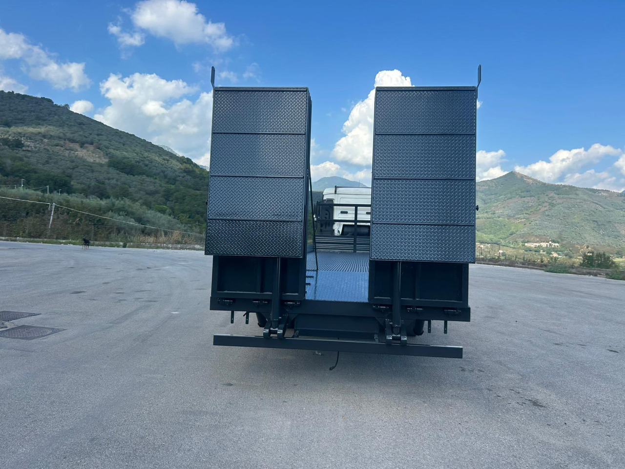 Camion plateau MAN TGS 26.360: photos 18