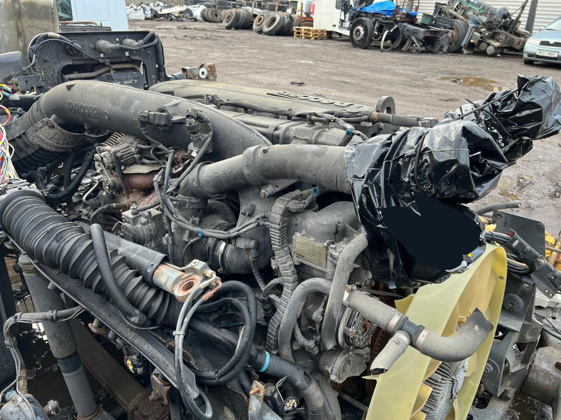 DAF MX13 375 H1 - Moteur: photos 1 DAF MX13 375 H1 - Moteur: photos 1