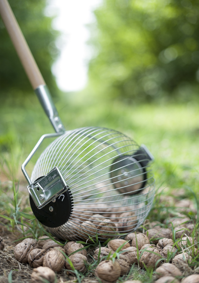 ROLL-IN Roll-in Medium - Matériel de jardinage: photos 1 ROLL-IN Roll-in Medium - Matériel de jardinage: photos 1