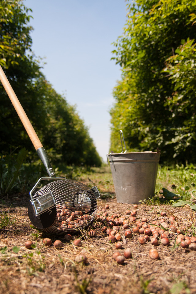 ROLL-IN Roll-in Small - Matériel de jardinage: photos 1 ROLL-IN Roll-in Small - Matériel de jardinage: photos 1