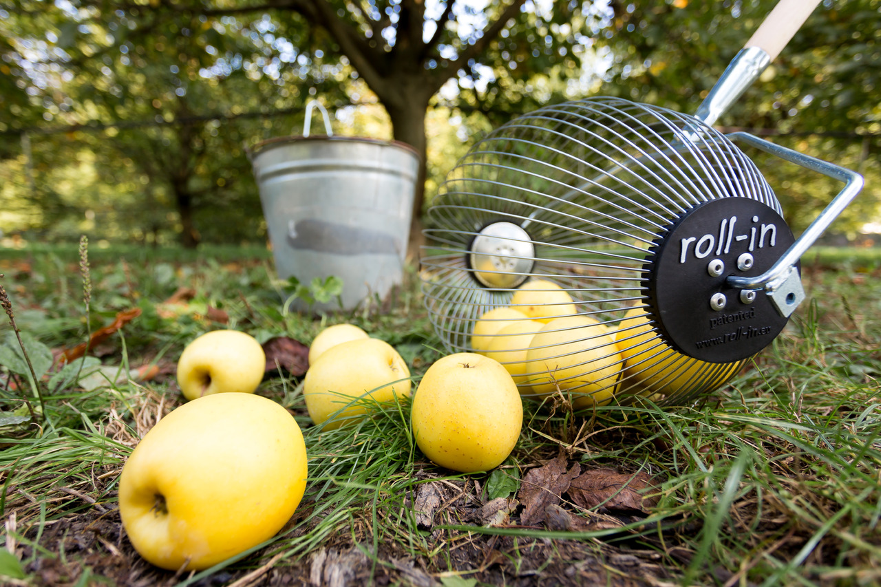 ROLL-IN Roll-in XLARGE - Matériel de jardinage: photos 1 ROLL-IN Roll-in XLARGE - Matériel de jardinage: photos 1