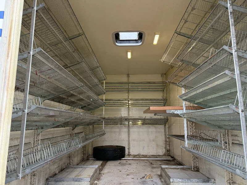 MAN L20 Bakwagen 4x2 Manual EUR 3 NL TRUCK en leasing occasion MAN L20 Bakwagen 4x2 Manual EUR 3 NL TRUCK: photos 18