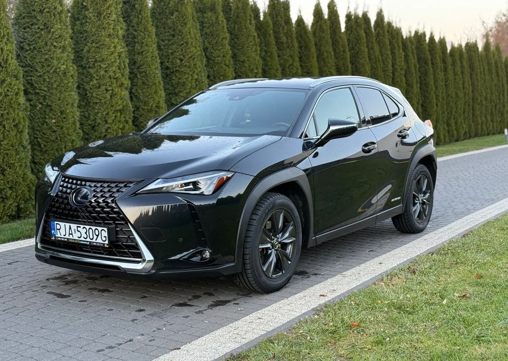 Lexus UX 250h Prestige 2WD - SUV: photos 3 Lexus UX 250h Prestige 2WD - SUV: photos 3