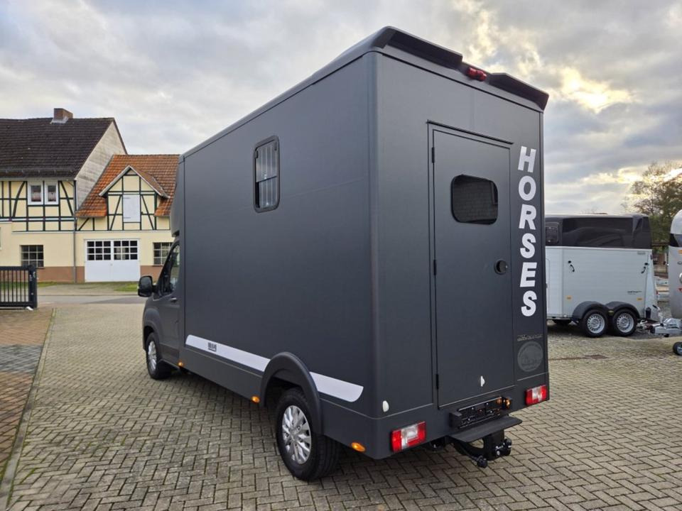MSG Stablehopper Pferdetransporter Pferdeanhänger Böckmann - Camion chevaux: photos 4 MSG Stablehopper Pferdetransporter Pferdeanhänger Böckmann - Camion chevaux: photos 4