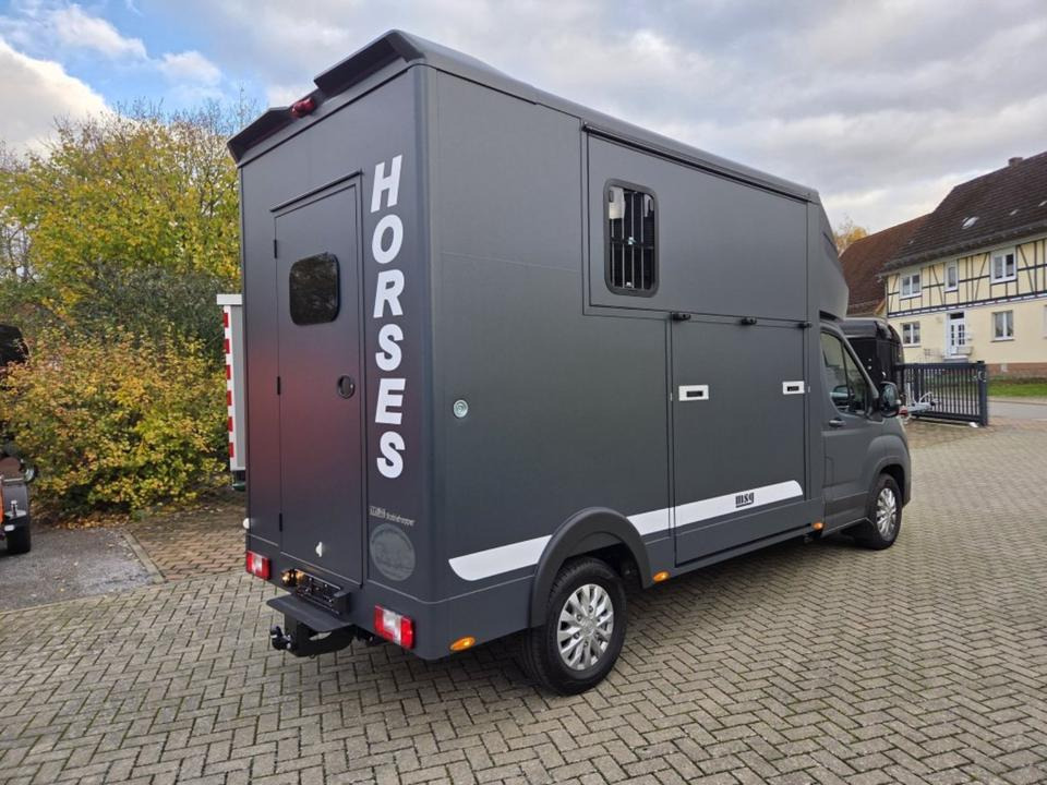 MSG Stablehopper Pferdetransporter Pferdeanhänger Böckmann - Camion chevaux: photos 3 MSG Stablehopper Pferdetransporter Pferdeanhänger Böckmann - Camion chevaux: photos 3
