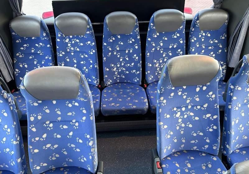 Setra 2 x S415 GT-UL  Euro-5 en leasing occasion Setra 2 x S415 GT-UL  Euro-5: photos 20