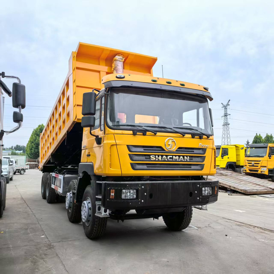 Shacman SX3255DN3841 - Camion benne: photos 2 Shacman SX3255DN3841 - Camion benne: photos 2
