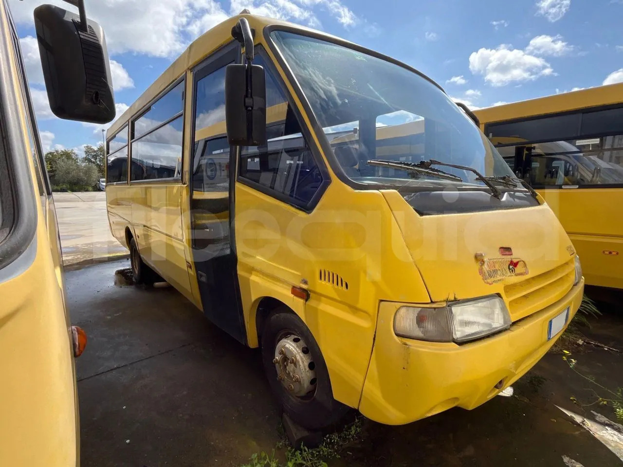 Iveco Cacciamali - Bus scolaire: photos 2 Iveco Cacciamali - Bus scolaire: photos 2