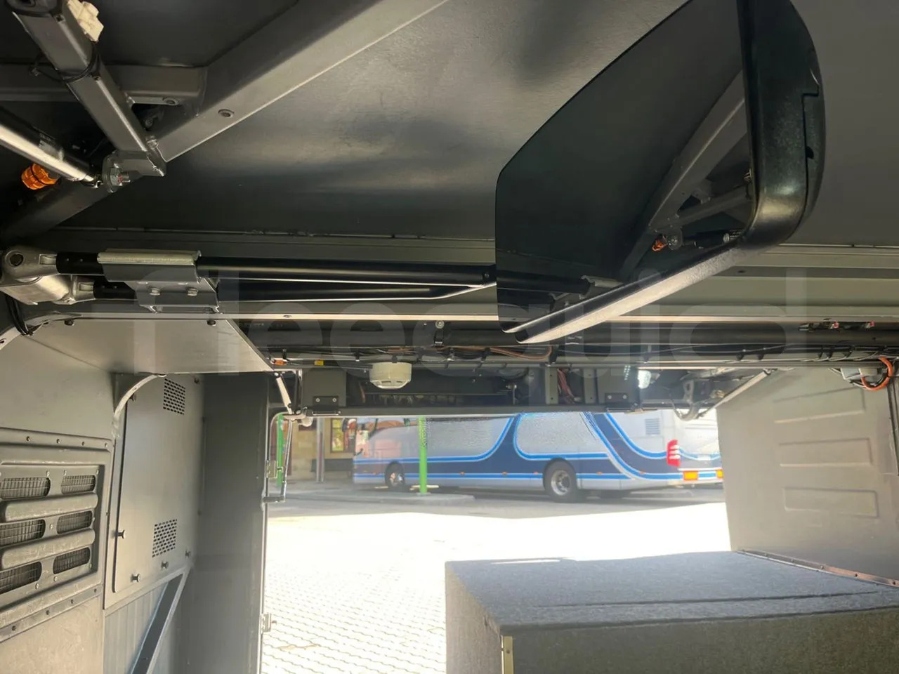 Autocar Man Lion's Coach: photos 20 Autocar Man Lion's Coach: photos 20