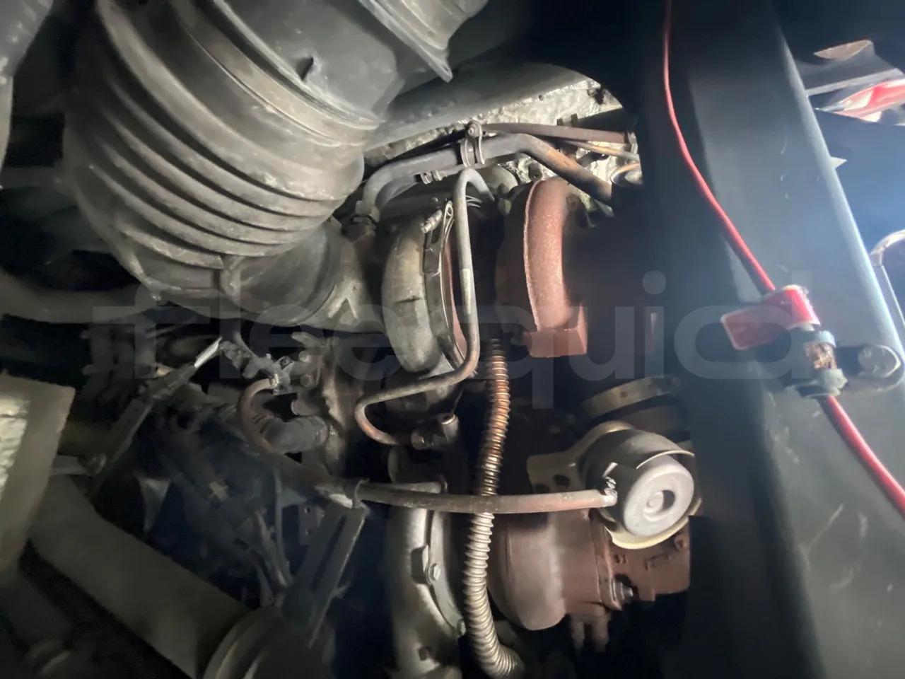 Autocar Man Lion's Coach: photos 11 Autocar Man Lion's Coach: photos 11