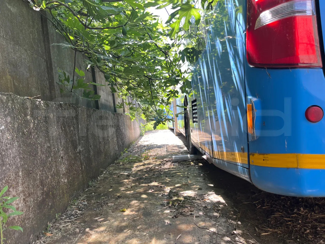 Mercedes-Benz Citaro G - Bus urbain: photos 4 Mercedes-Benz Citaro G - Bus urbain: photos 4