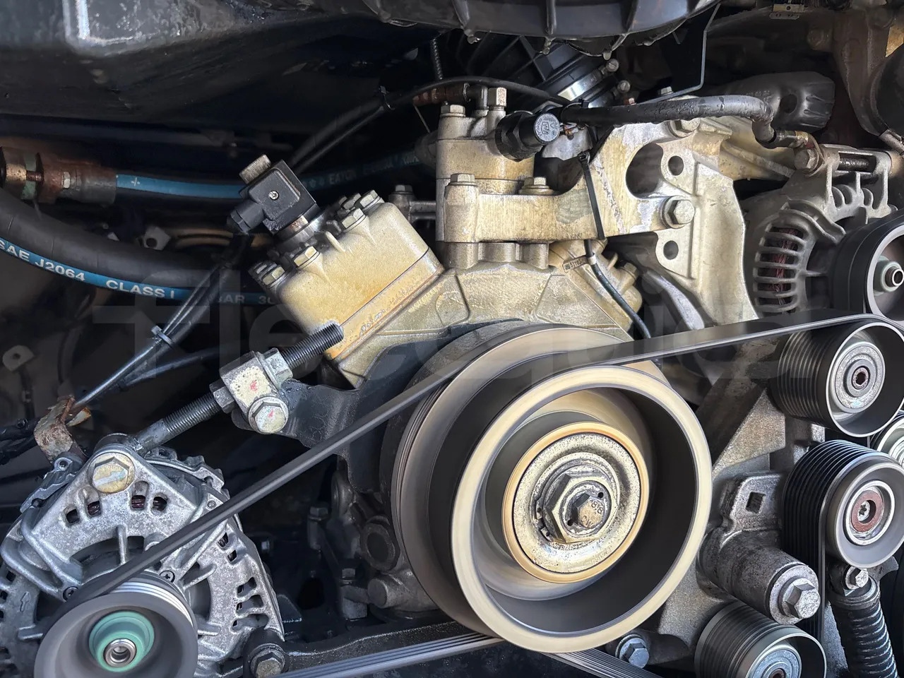 Autocar Setra S515: photos 19