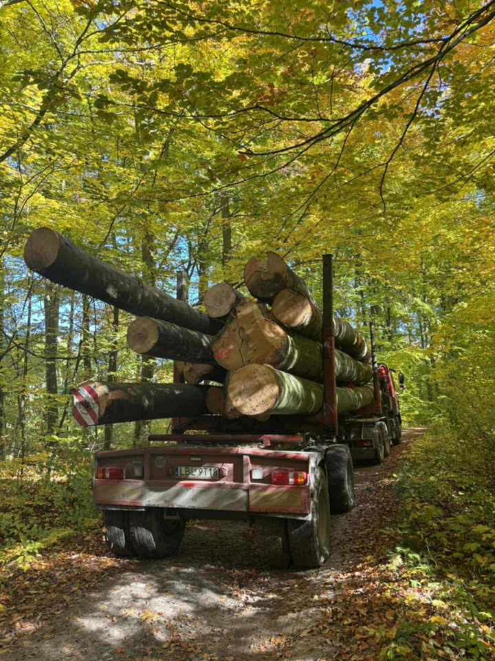 DAF CF510 - Camion grumier, Camion grue: photos 3 DAF CF510 - Camion grumier, Camion grue: photos 3