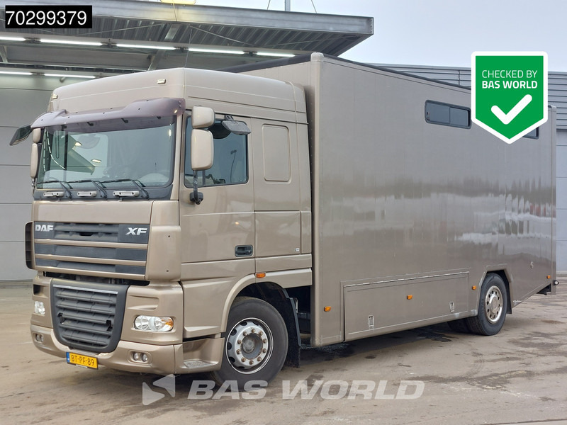 DAF XF105.410 XF 4X2 NL-Truck JK Horsetruck 6 Horses Pferdentransport Manual Euro 5 - Camion chevaux: photos 1 DAF XF105.410 XF 4X2 NL-Truck JK Horsetruck 6 Horses Pferdentransport Manual Euro 5 - Camion chevaux: photos 1