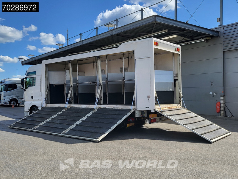 MAN TGX 26.480 TGX 6X2 NL-Truck BDF HorseTransport Lift+steering axle Standklima Automatic Xenon Alcoa´s Euro 5 - Camion porte-conteneur/ Caisse mobile: photos 2 MAN TGX 26.480 TGX 6X2 NL-Truck BDF HorseTransport Lift+steering axle Standklima Automatic Xenon Alcoa´s Euro 5 - Camion porte-conteneur/ Caisse mobile: photos 2