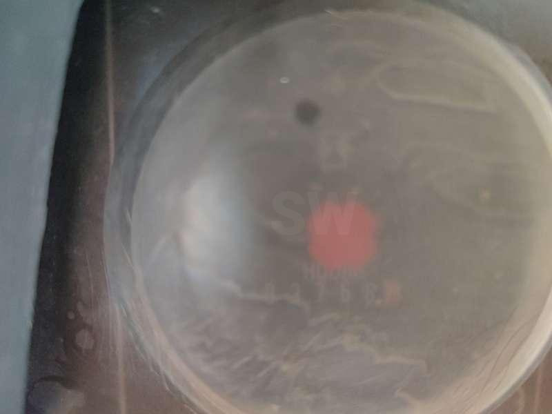 Compresseur d'air Atlas copco XAS67: photos 18