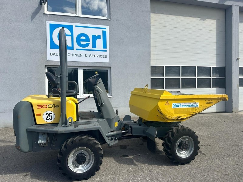 Neuson 3001 (3861) - Mini tombereau: photos 2 Neuson 3001 (3861) - Mini tombereau: photos 2