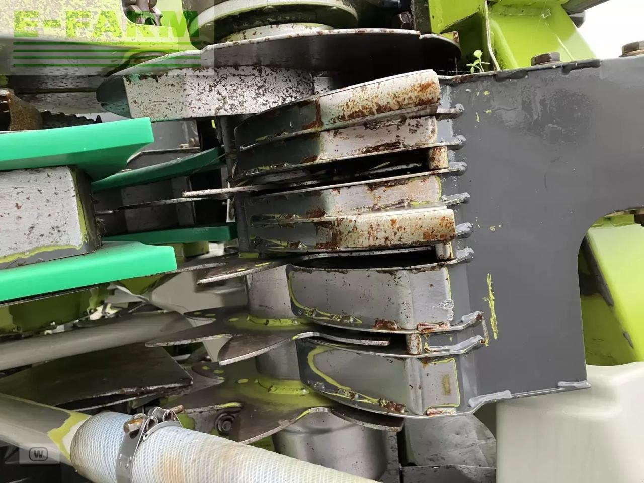 Cueilleur de maïs CLAAS orbis 750 ac: photos 21 Cueilleur de maïs CLAAS orbis 750 ac: photos 21