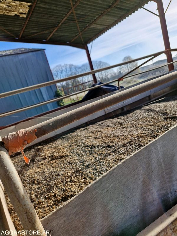 Benne ampliroll céréalière 9 - Camion: photos 5 Benne ampliroll céréalière 9 - Camion: photos 5