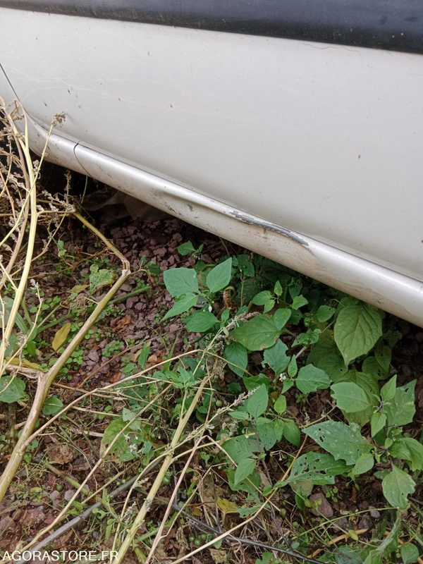 FIAT PANDA - Voiture: photos 5 FIAT PANDA - Voiture: photos 5