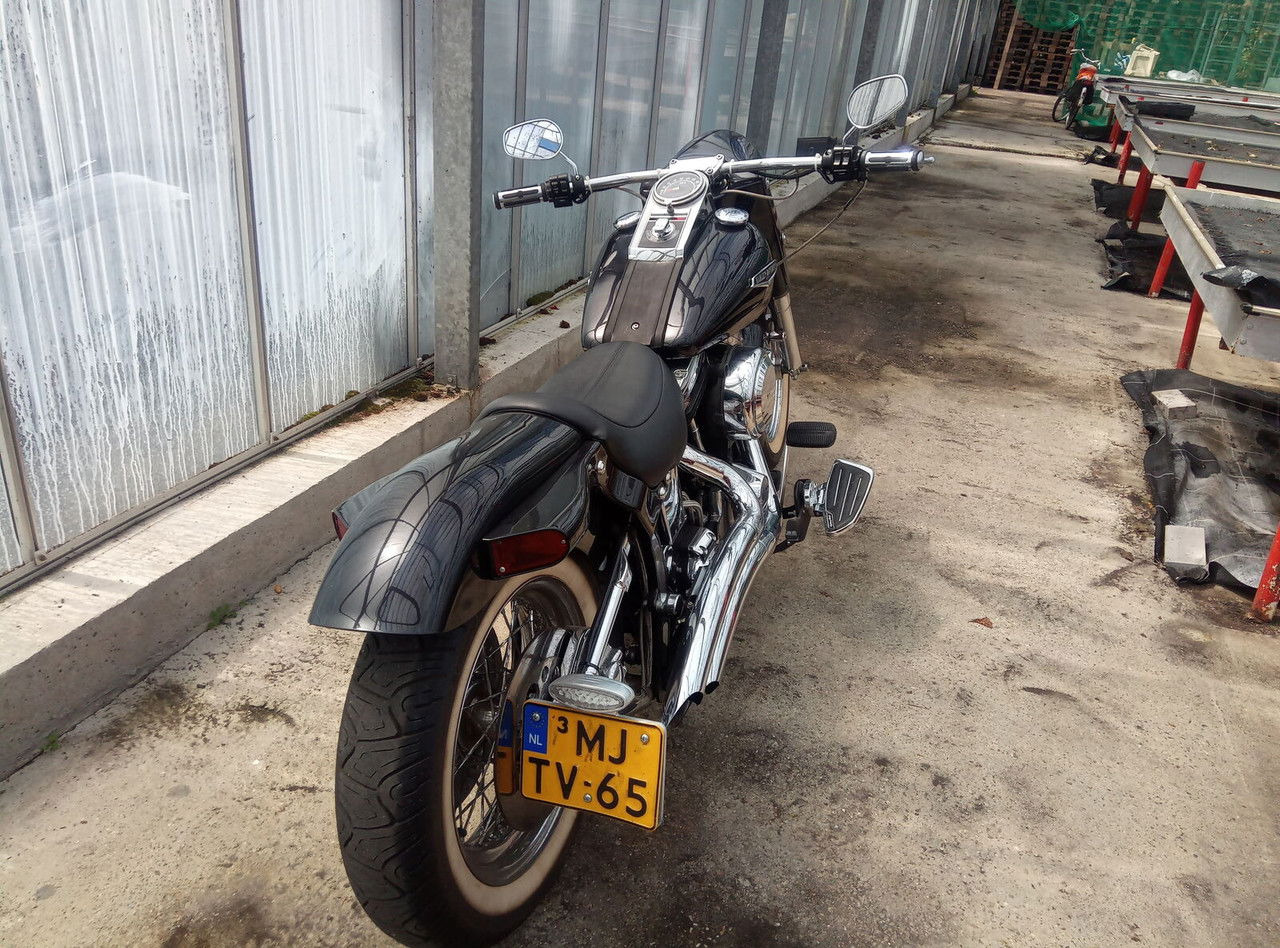 Harley-Davidson Custom Custom - Motocyclette: photos 3 Harley-Davidson Custom Custom - Motocyclette: photos 3