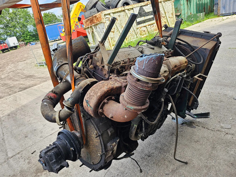 Moteur pour Camion Iveco Fiat 8210 22: photos 8